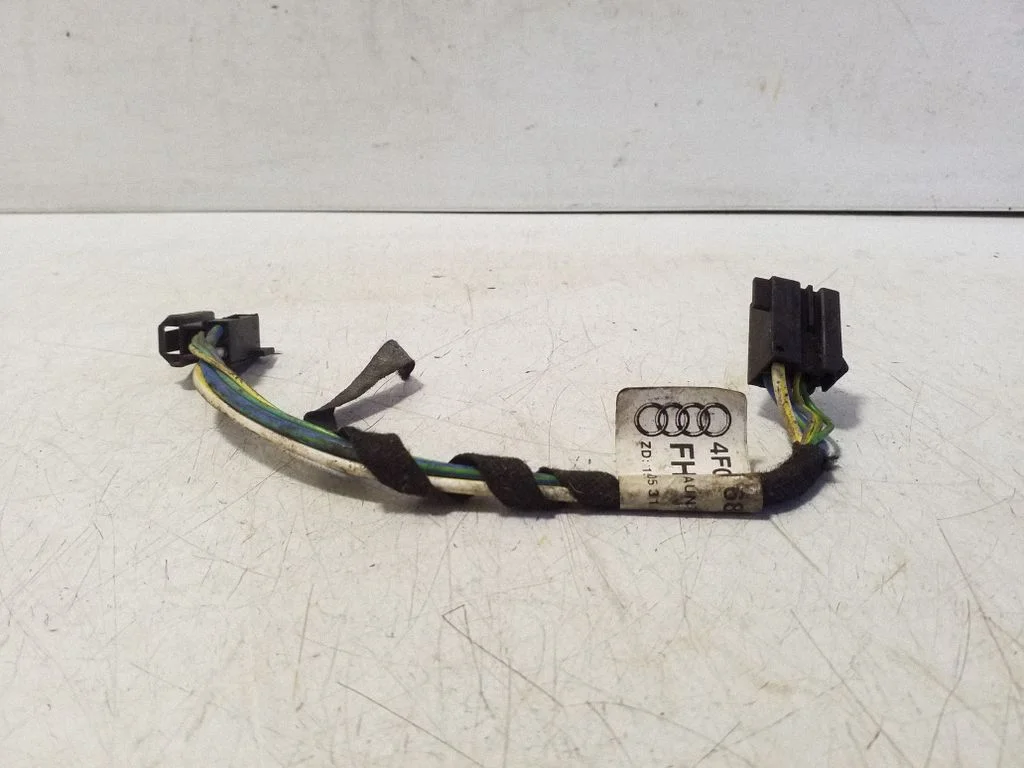 Muud juhtmed / juhtmestik 4F0971687