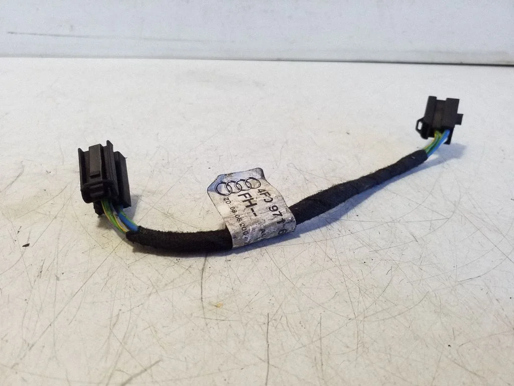 Other wiring loom 4F0971687