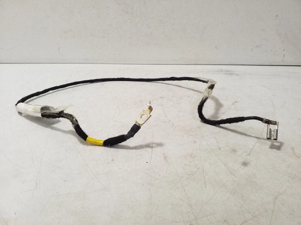 Other wiring loom 31843719