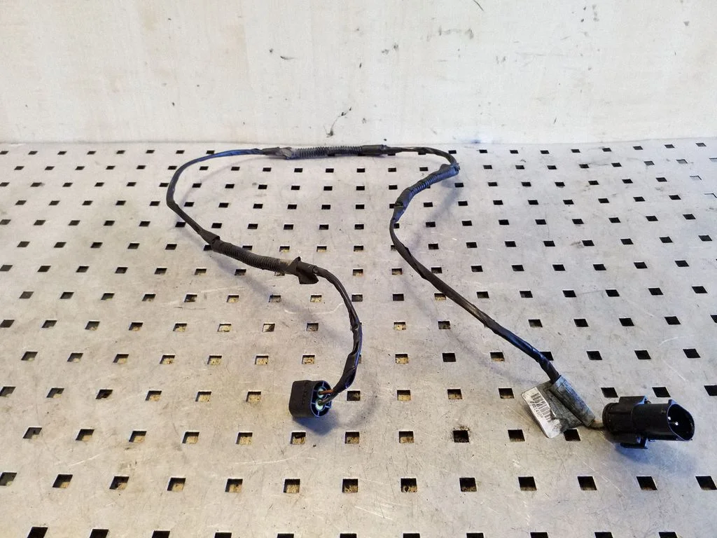 Other wiring loom 6910059