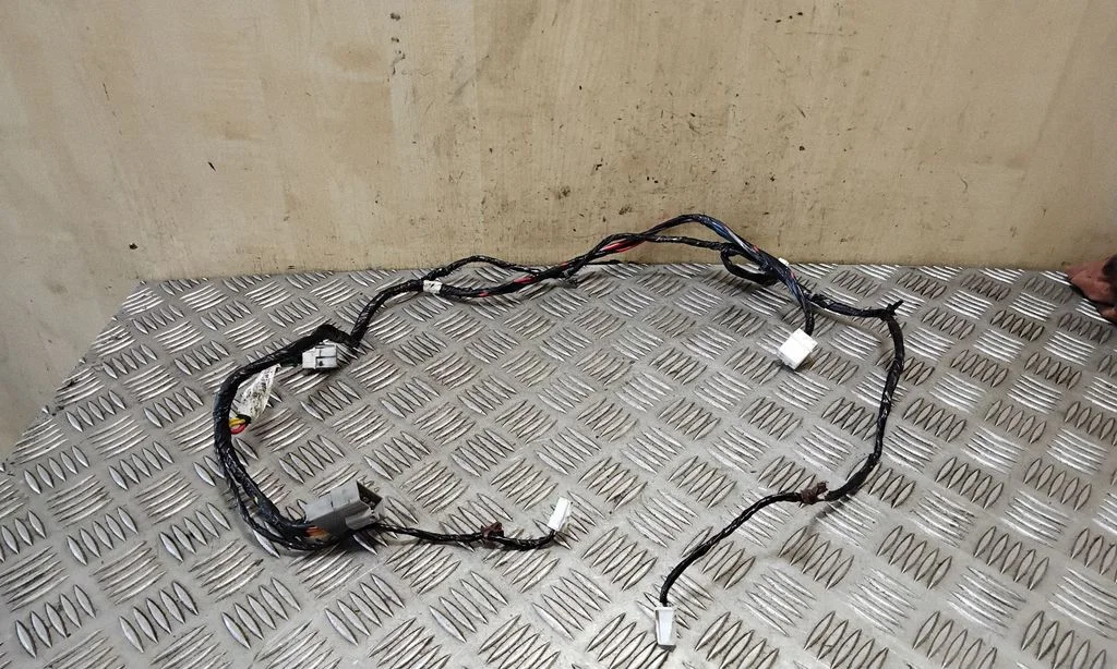 Other wiring loom