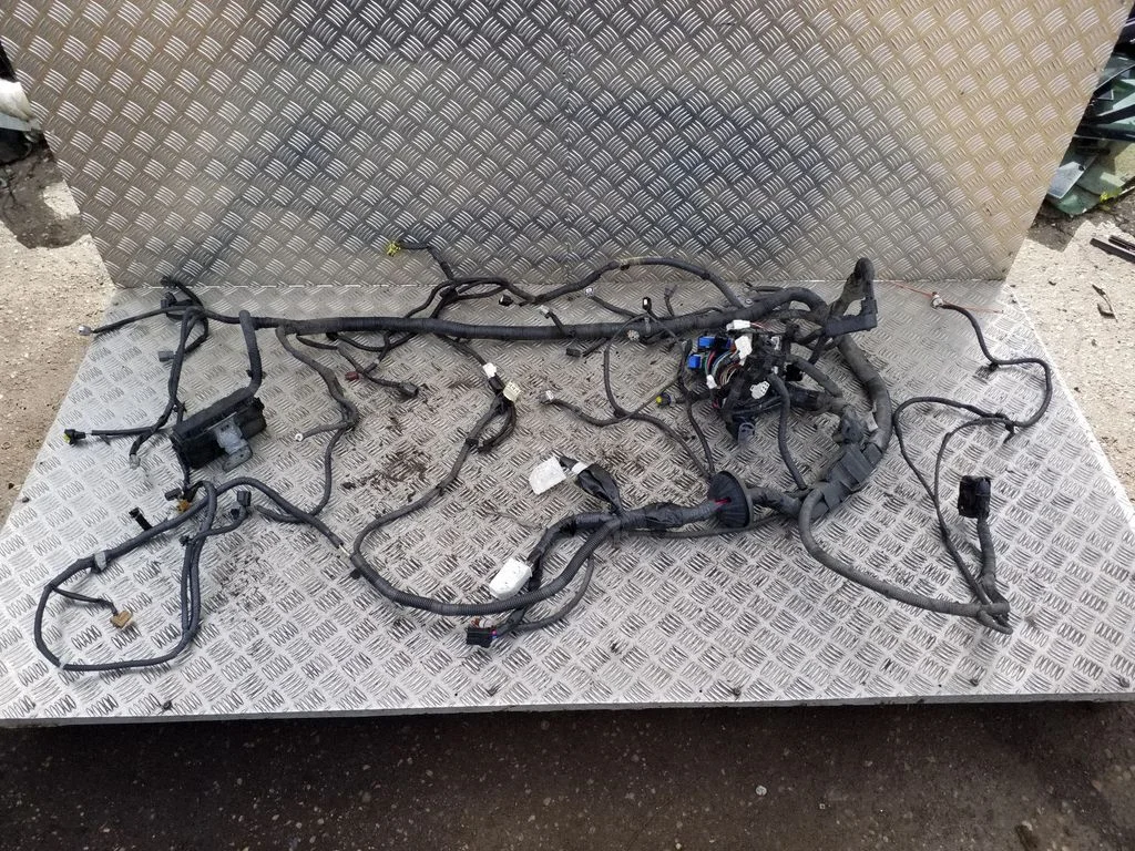 Other wiring loom