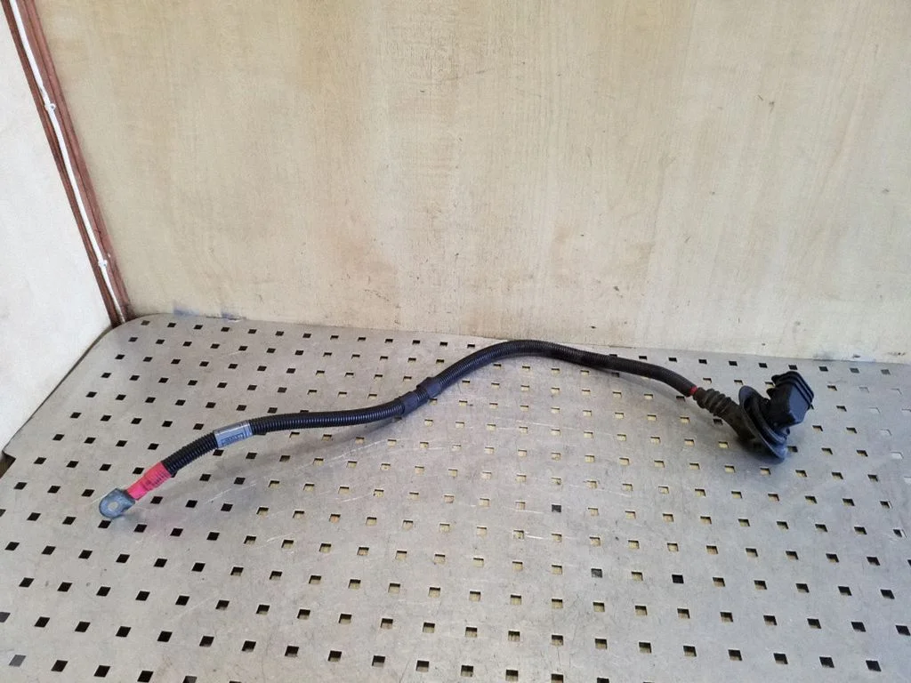 Other wiring loom 10299011