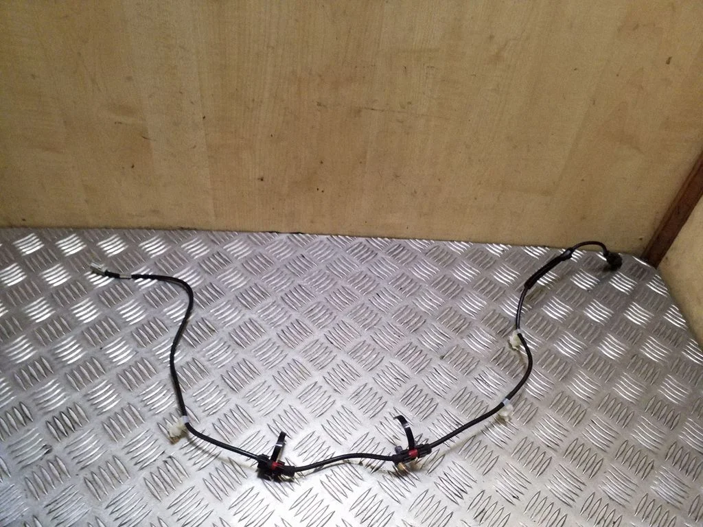 Other wiring loom