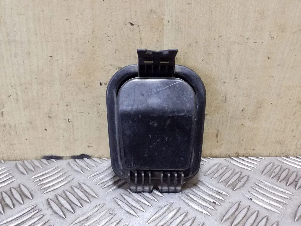 Headlight/headlamp dust cover