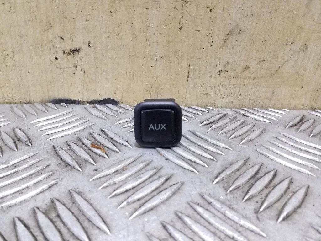 AUX jungtis