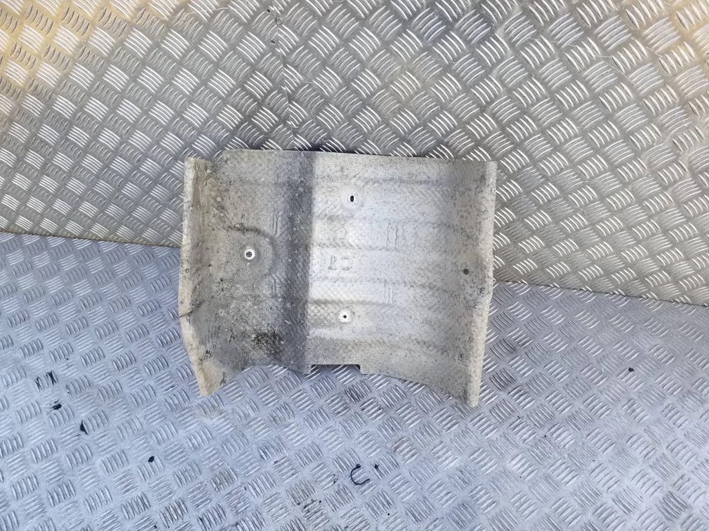 Exhaust heat shield