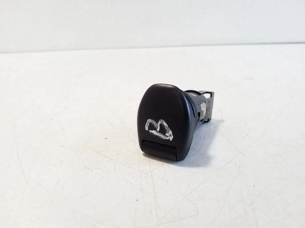 12 V lizdas (gale)