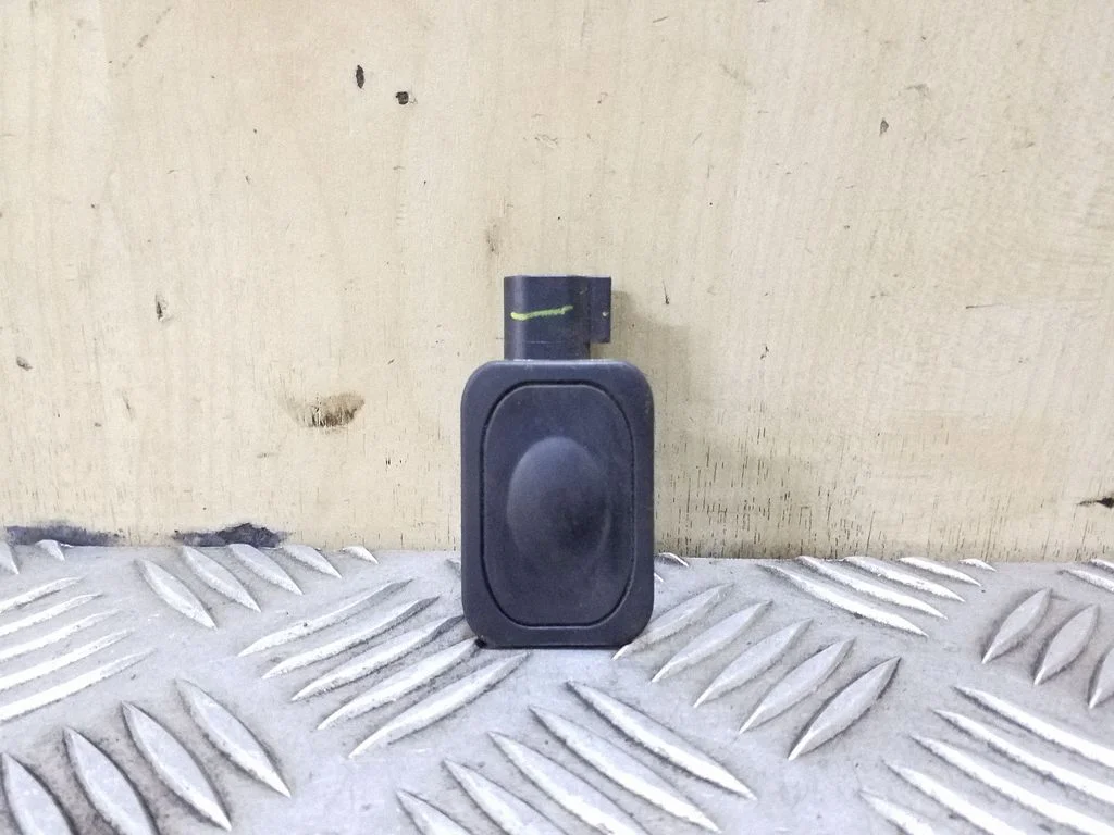 Tailgate opening switch 1L2T14K147AA