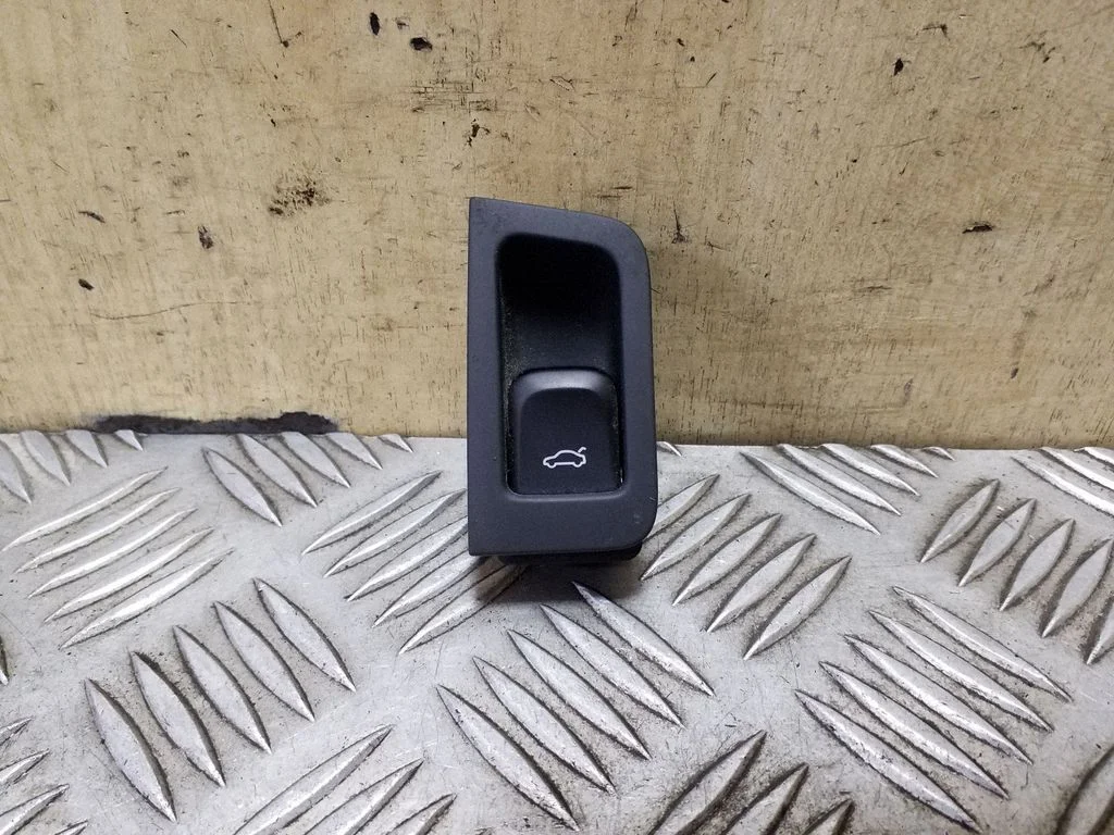 Tailgate opening switch 4G2959830