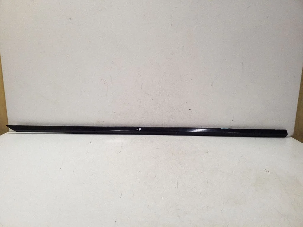 Front door glass trim molding A2187200524