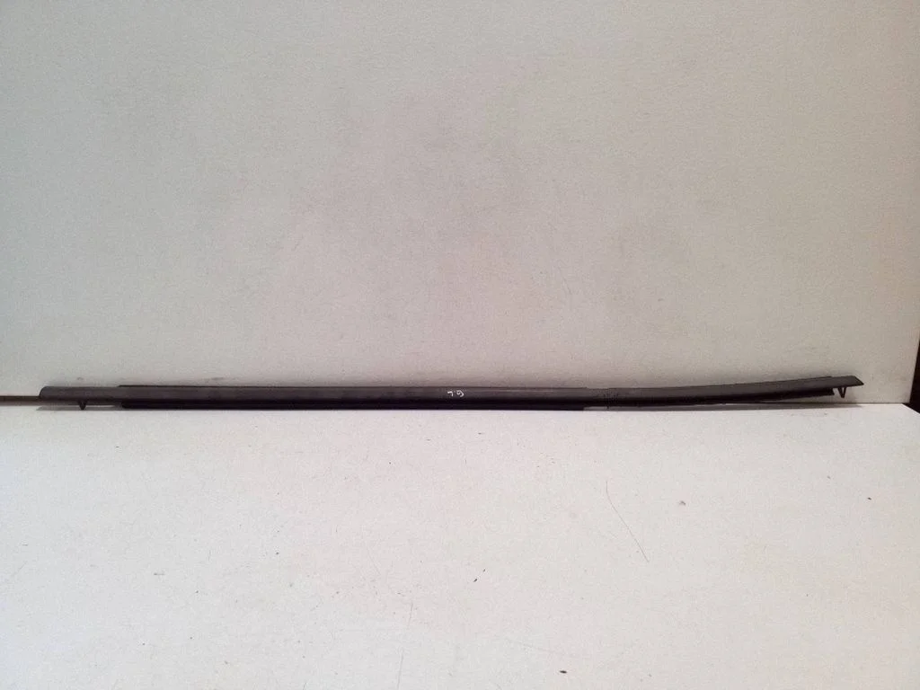 Rear door glass trim molding – left