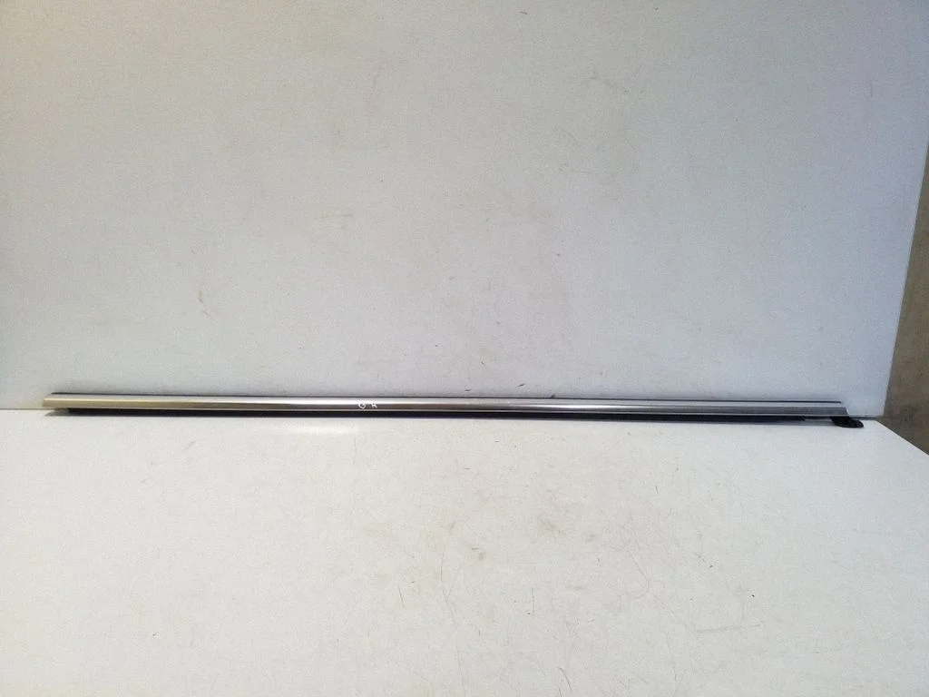Rear door glass trim molding TAB008944P