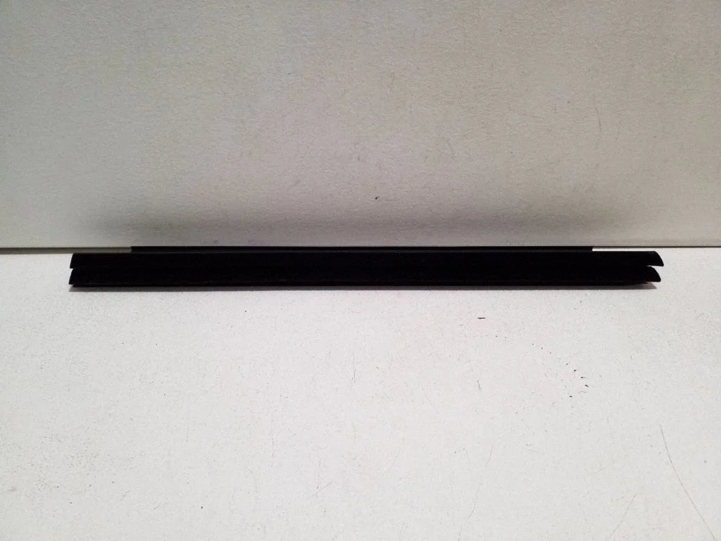 Rear door glass trim molding 162RL