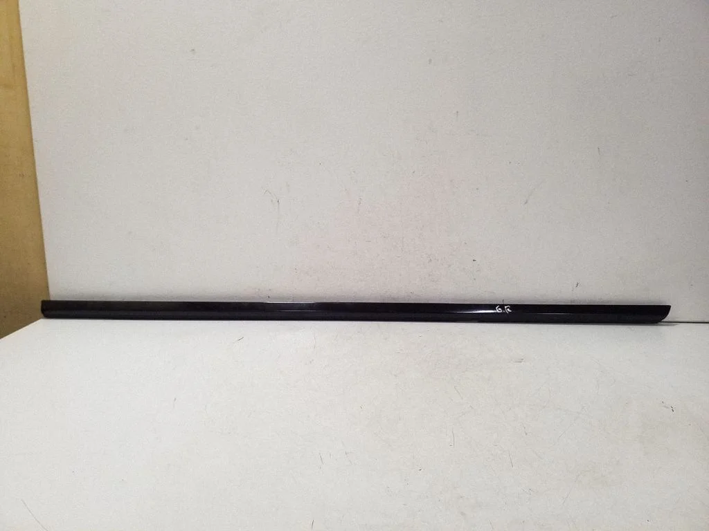 Rear door glass trim molding A2187300424