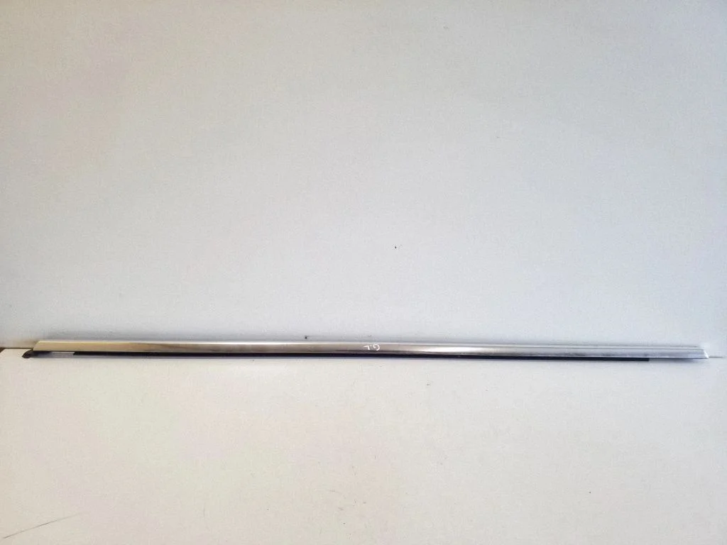 Rear door glass trim molding – left