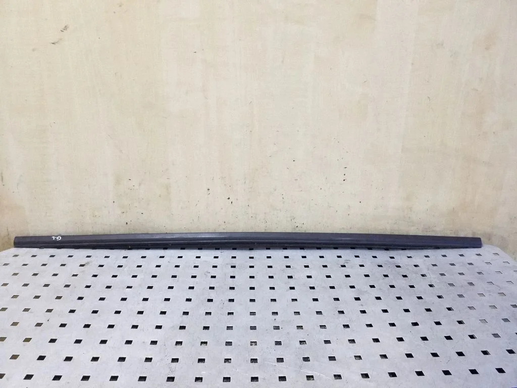 Rear door glass trim molding 9800407077