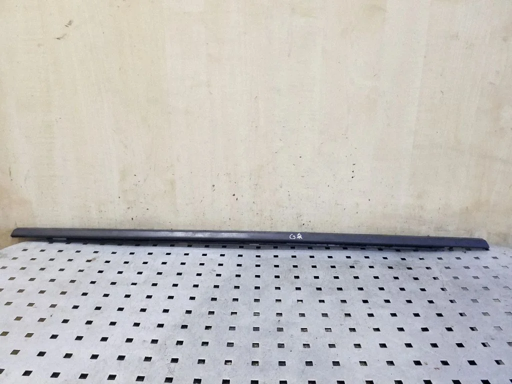 Rear door glass trim molding 9800406977
