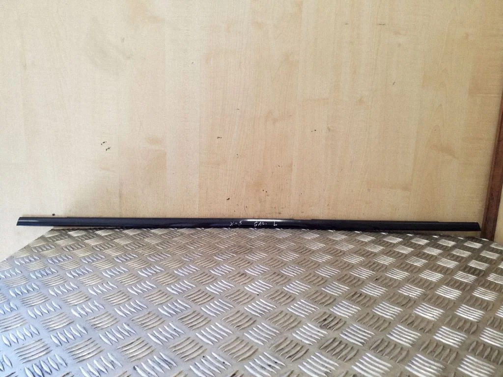 Rear door glass trim molding – left