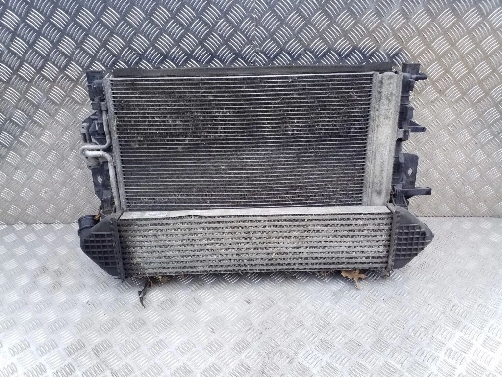 Radiatoru komplekts 31319064