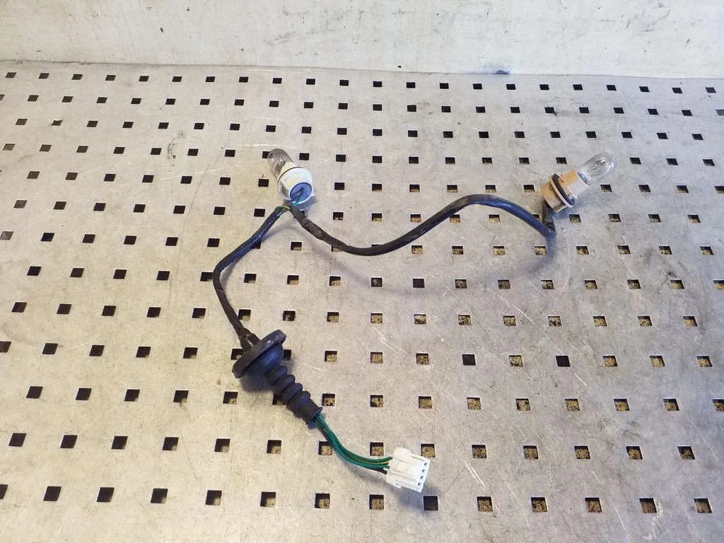 Tail light bulb cover holder – right