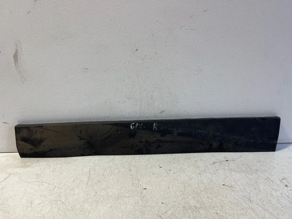Rear door trim (molding) 3B0854950