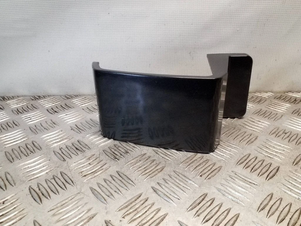 Rear/tail light trim molding 1497703077