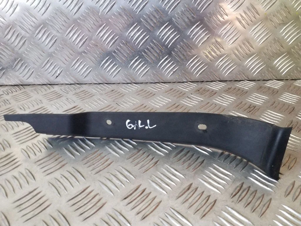 Rear/tail light trim molding 7300663