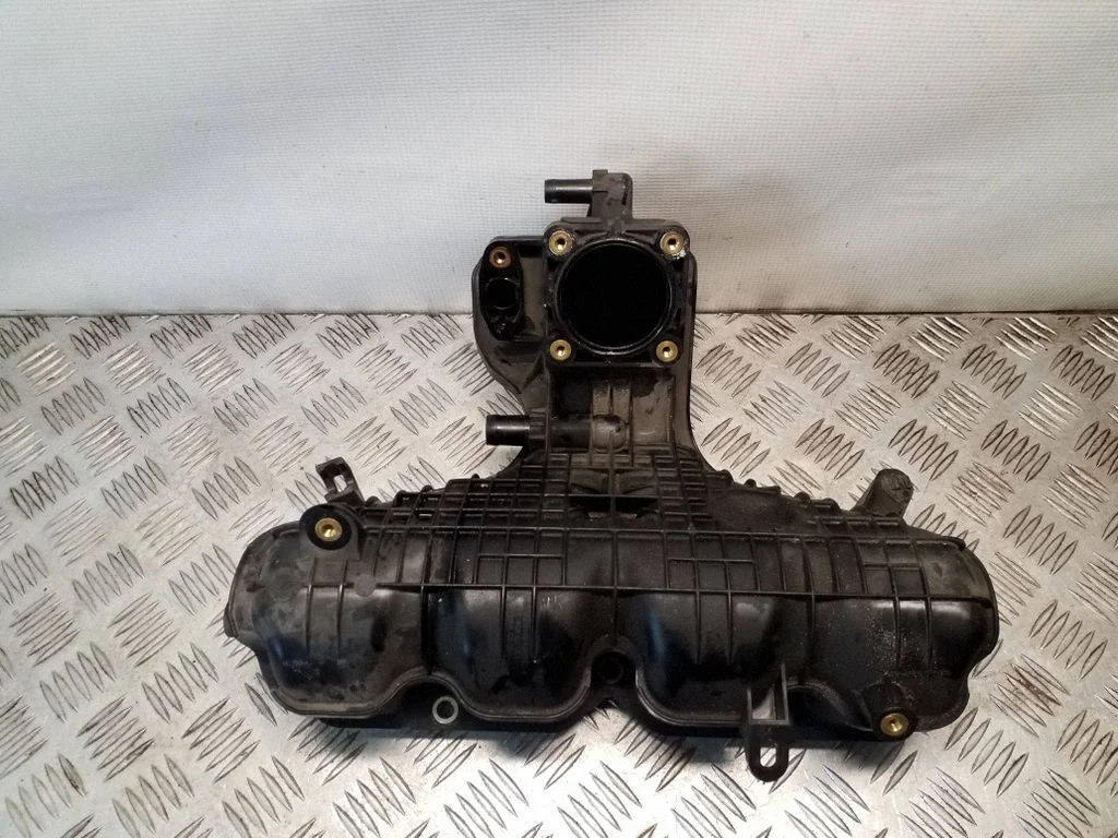 Intake manifold 1105869S01