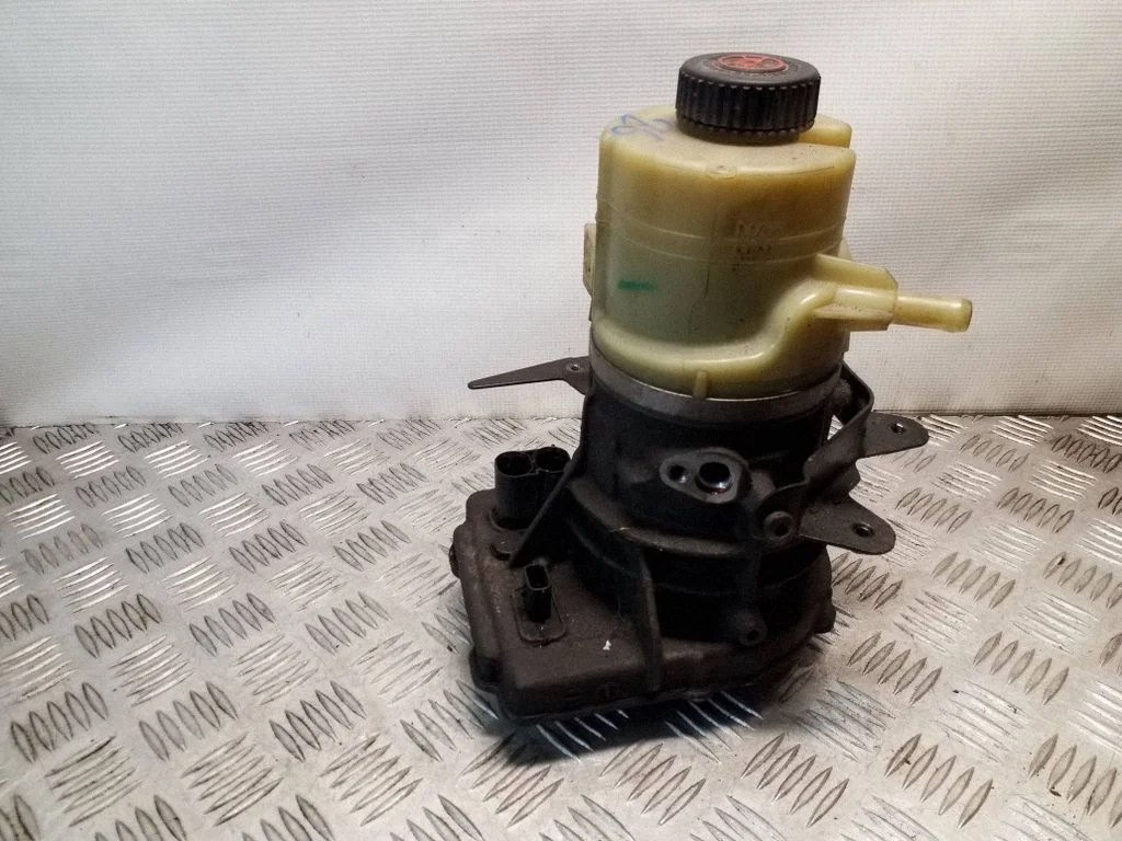 Power steering pump 491100616R