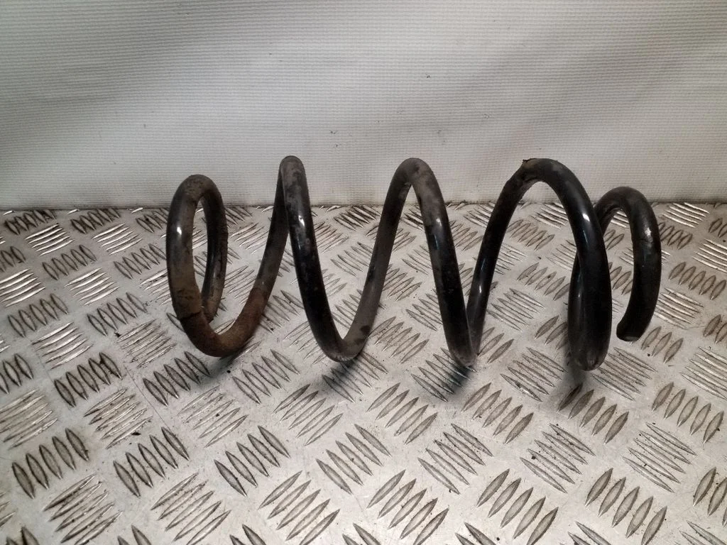 Front coil spring