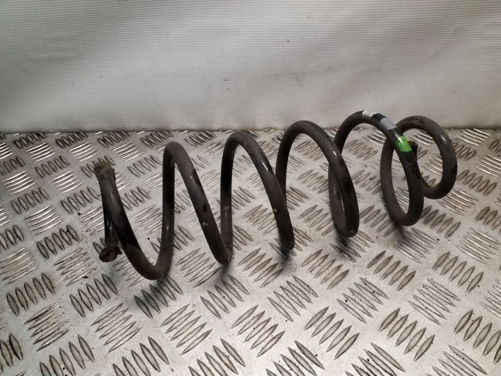 Rear coil spring