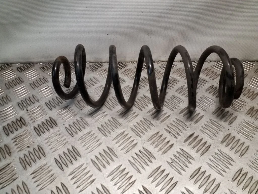 Rear coil spring