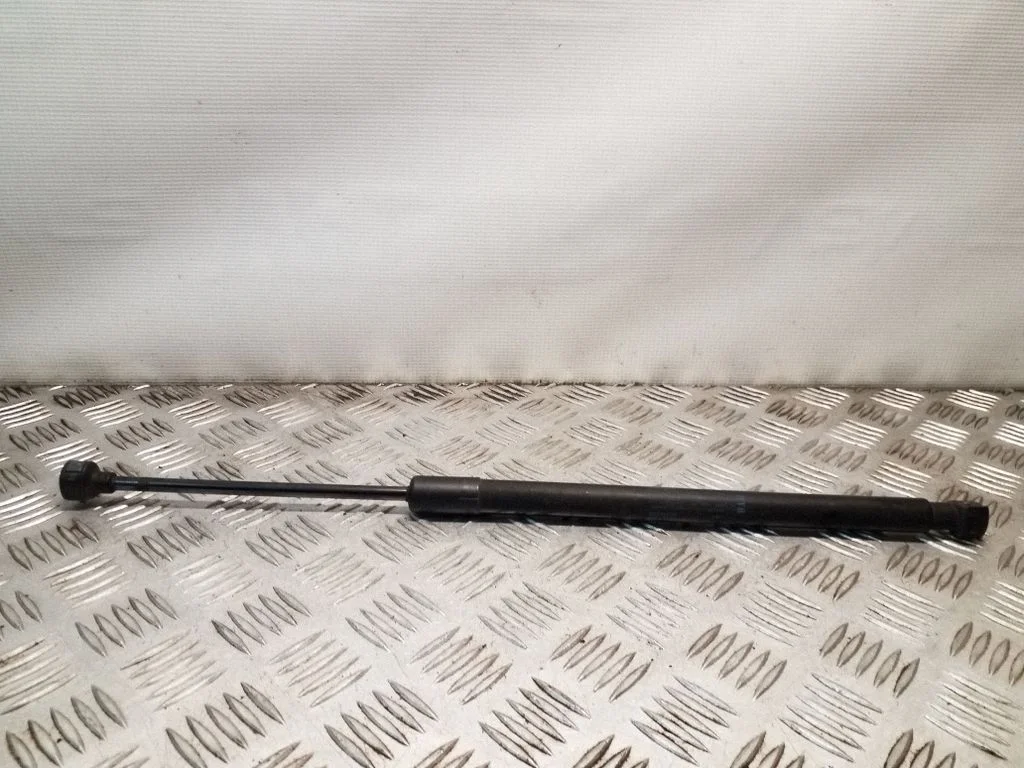 Tailgate/trunk strut/damper