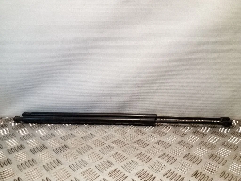Tailgate/trunk strut/damper DS73A406A11AF