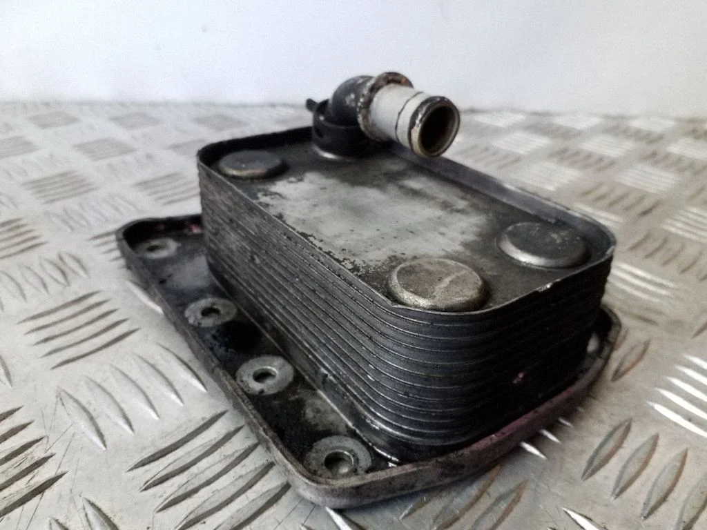 Oil filter mounting bracket