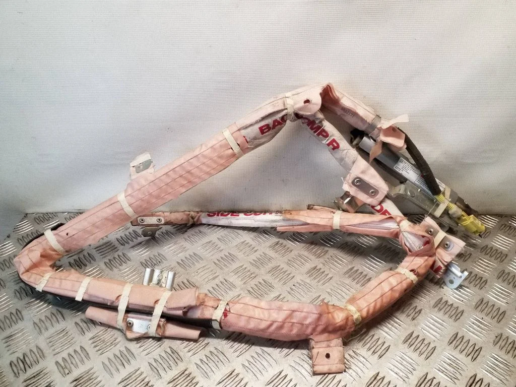 Roof airbag 1025473
