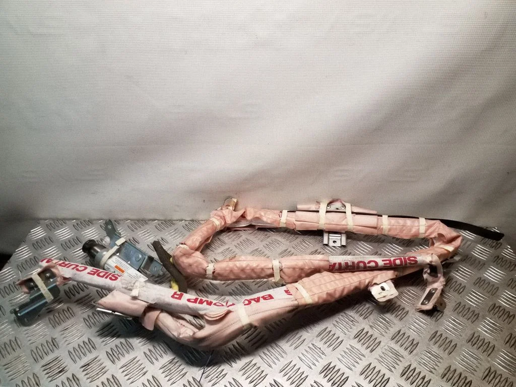 Roof airbag 1025484