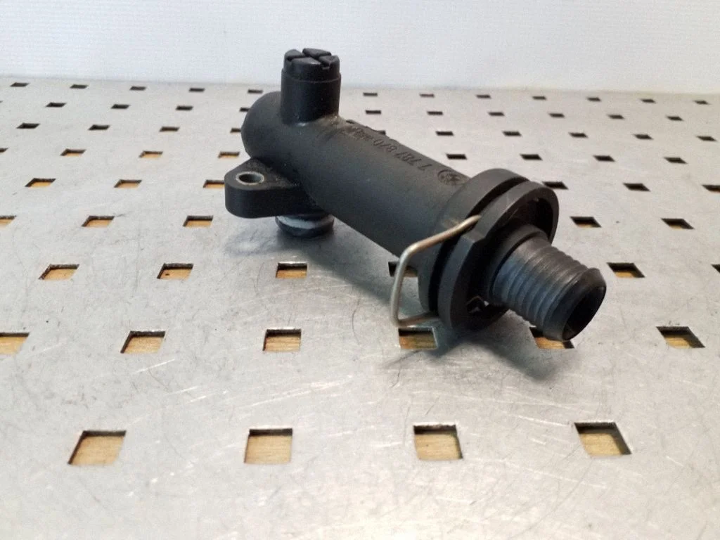 EGR termostatas