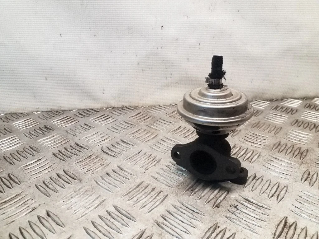 EGR vārsts 028131501E