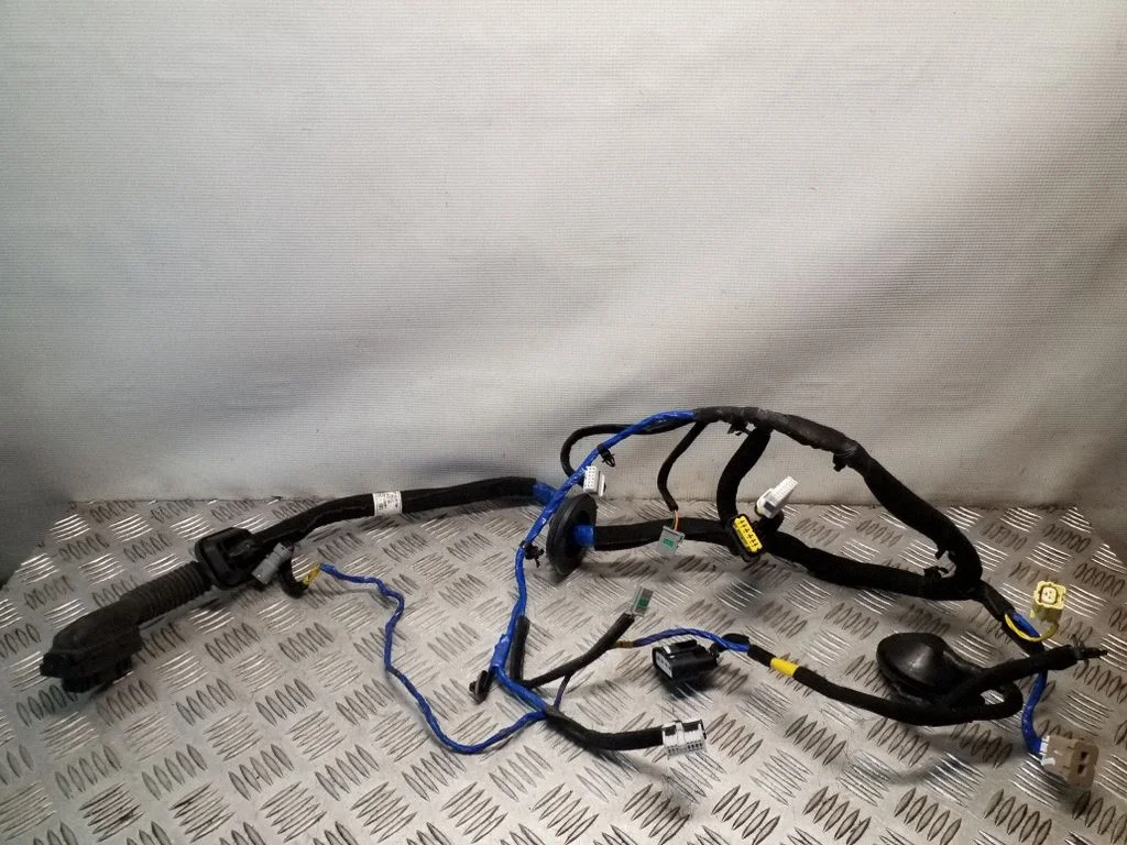 Priekšējo durvju vadu instalācija 91600G2960