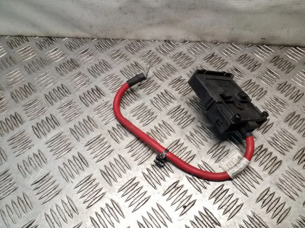 Positive wiring loom 9136725