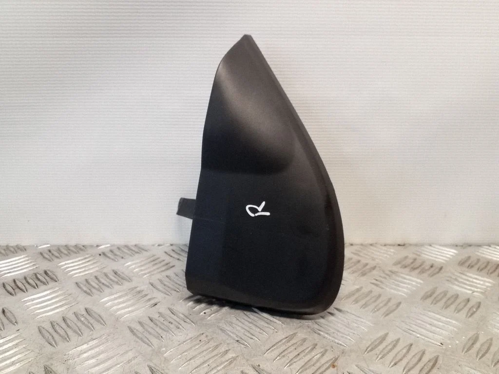 Välispeegli plastkate 735424456