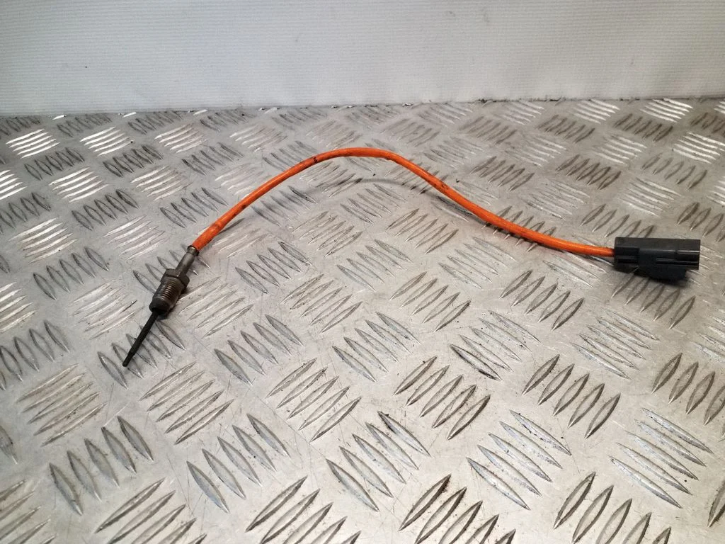 Heitgaasi temperatuuriandur 6M51128591EA