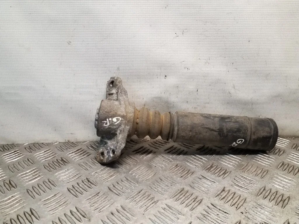 Galinis amortizatoriaus slopintuvas (atboinikas)