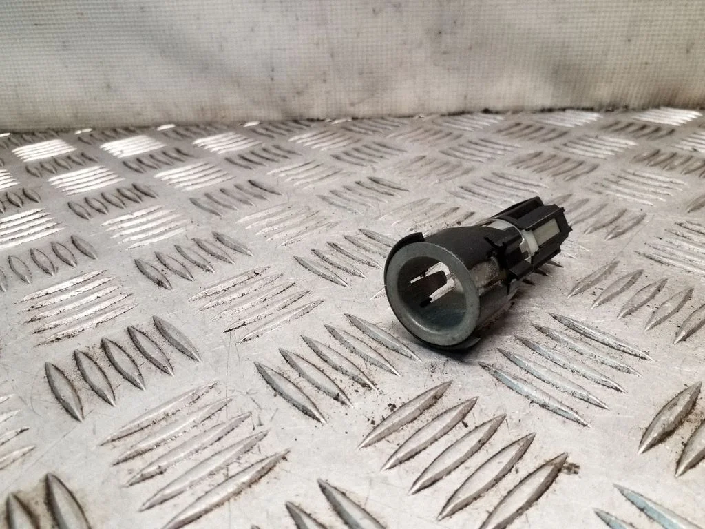 12 V lizdas (gale)