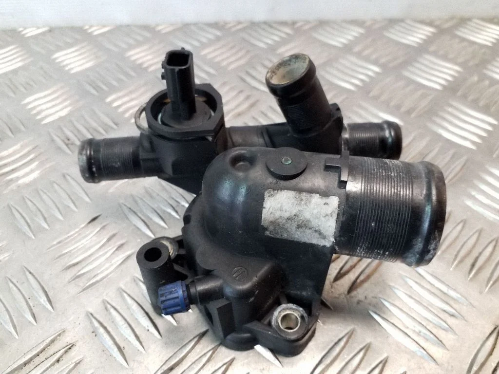 Thermostat/thermostat housing