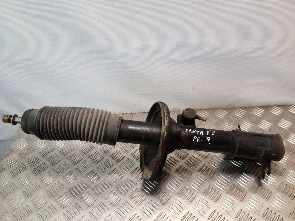 Front shock absorber/damper 5466026300
