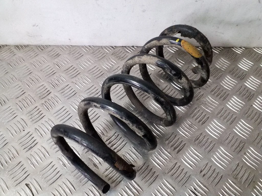 Front coil spring