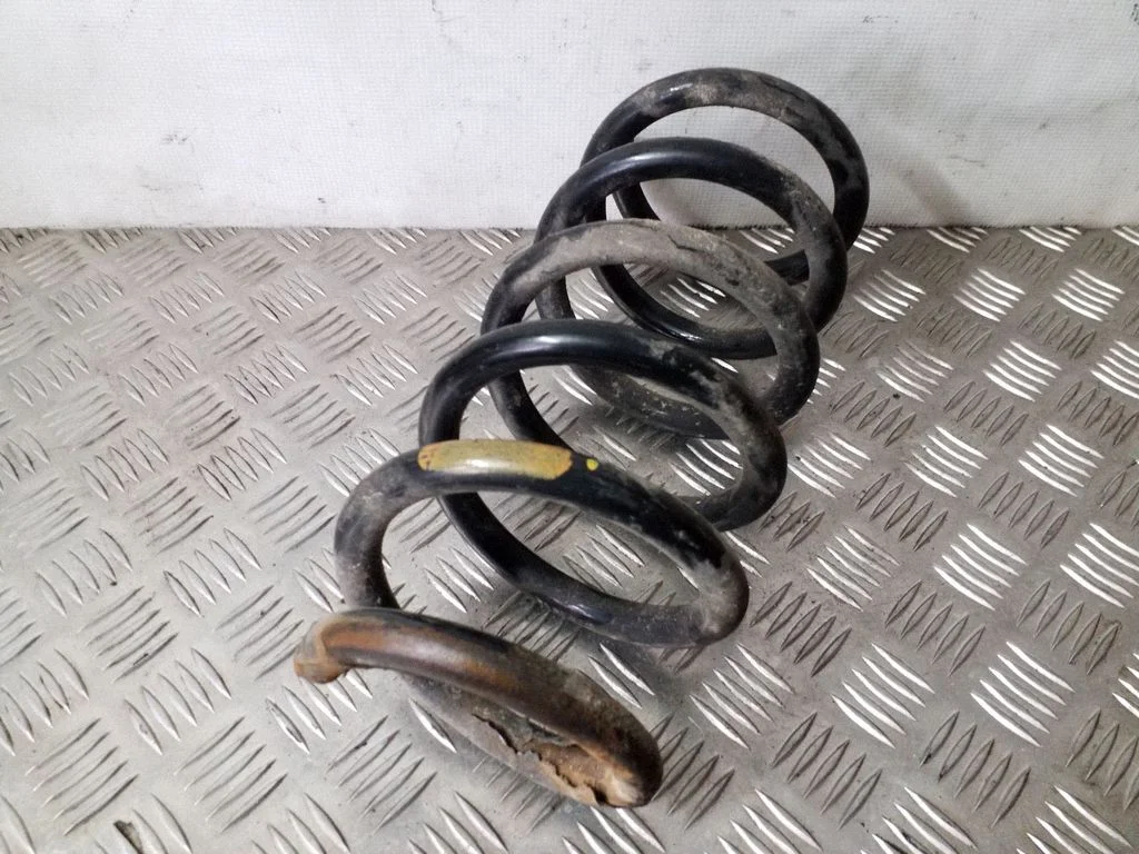 Front coil spring